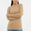 Turtleneck Knit Basic Sweater