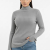 Turtleneck Knit Basic Sweater