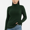 Turtleneck Knit Basic Sweater