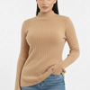 Turtleneck Knit Basic Sweater