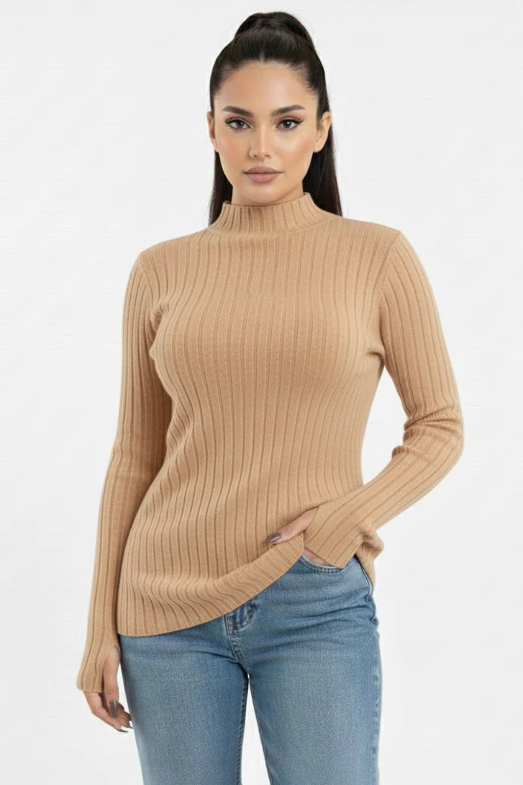 Turtleneck Knit Basic Sweater