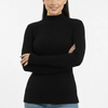 Turtleneck Knit Basic Sweater