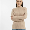 Turtleneck Knit Basic Sweater