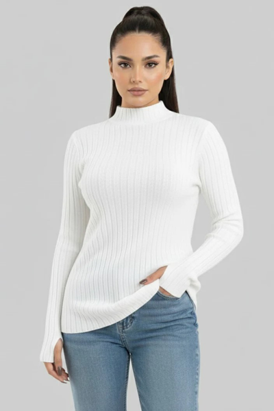 Turtleneck Knit Basic Sweater
