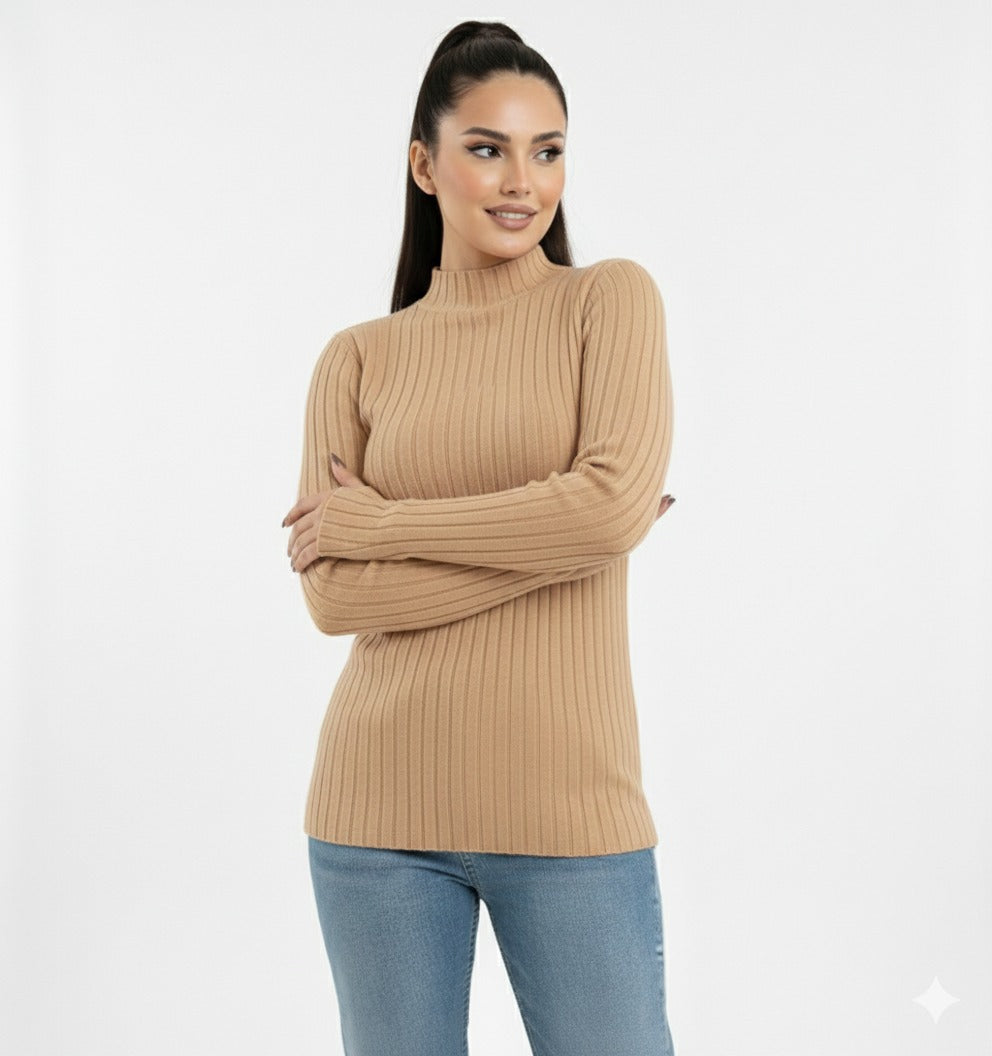 Turtleneck Knit Basic Sweater