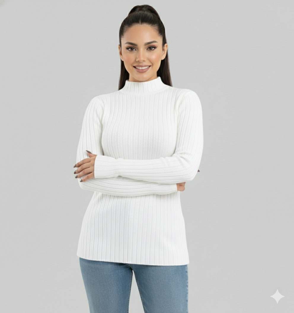 Turtleneck Knit Basic Sweater