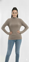 Turtleneck Knit Basic Sweater