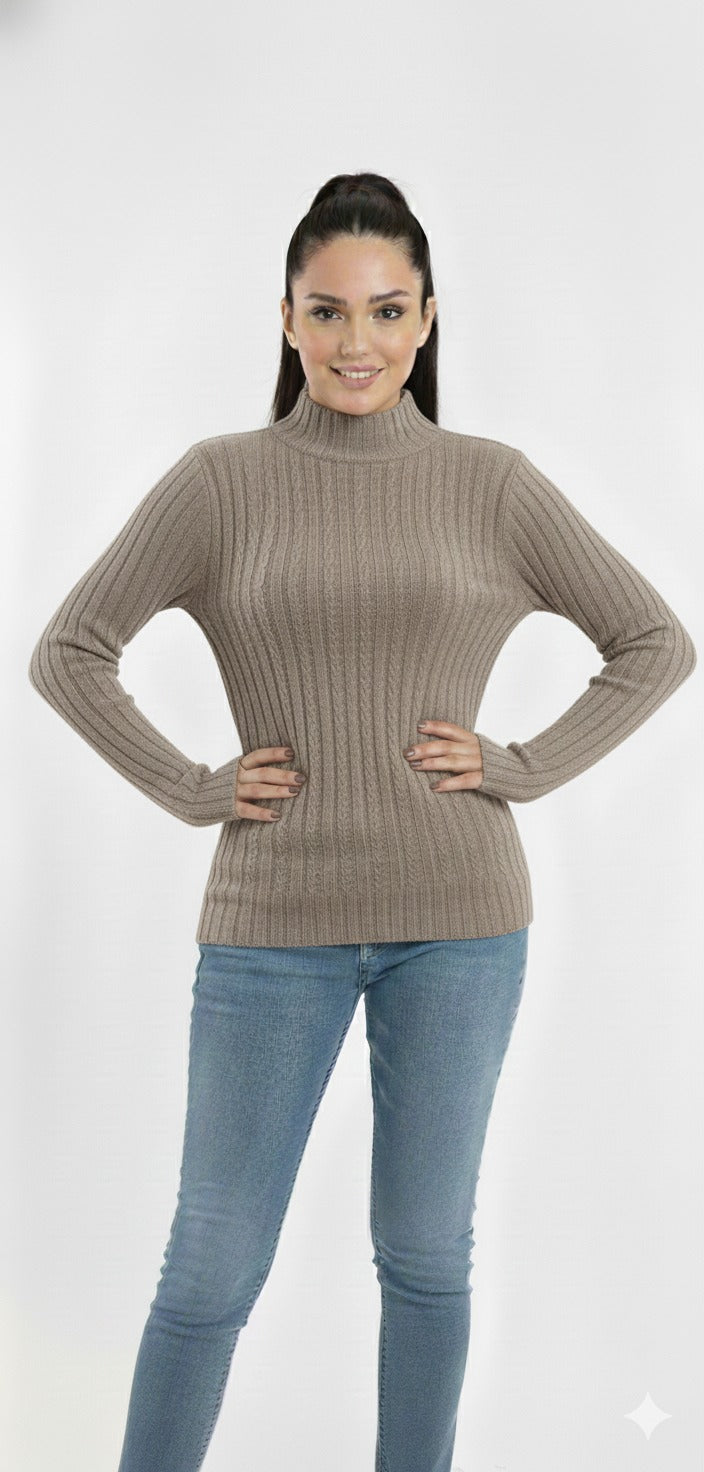 Turtleneck Knit Basic Sweater