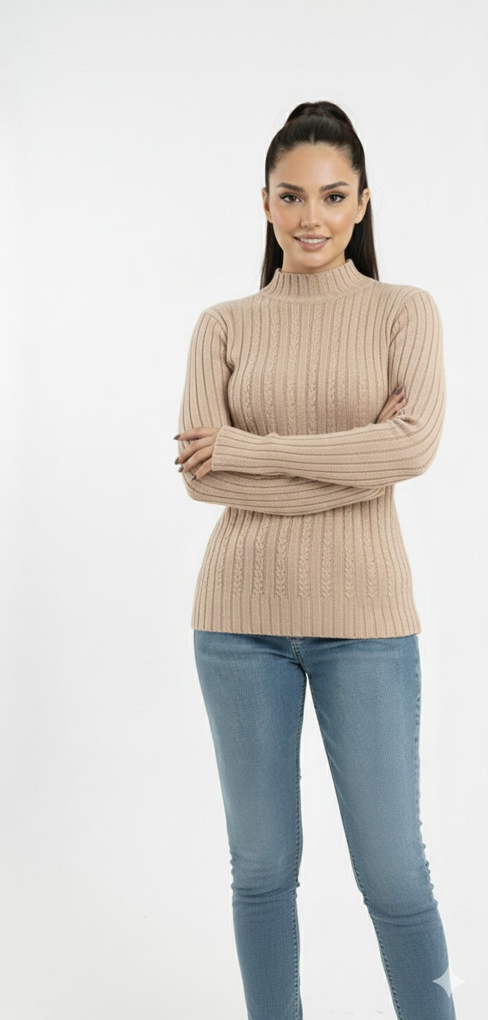 Turtleneck Knit Basic Sweater