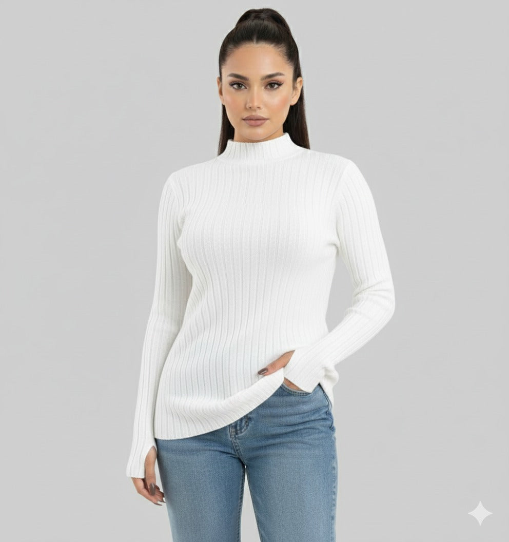 Turtleneck Knit Basic Sweater