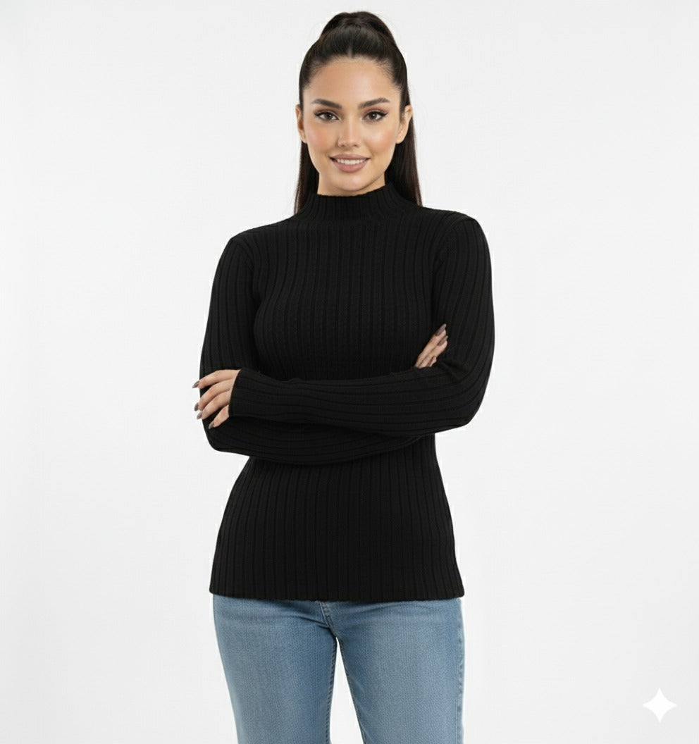 Turtleneck Knit Basic Sweater