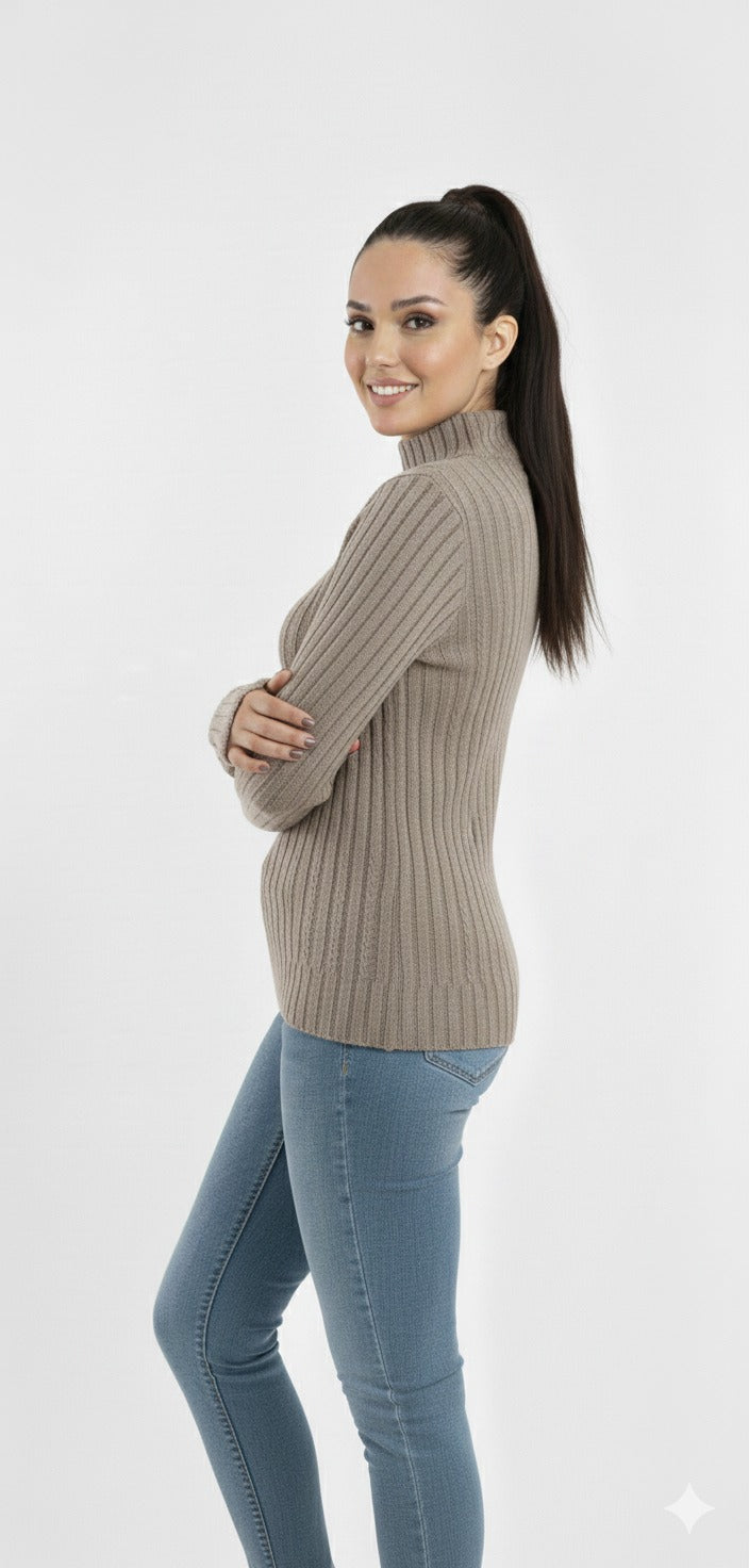 Turtleneck Knit Basic Sweater