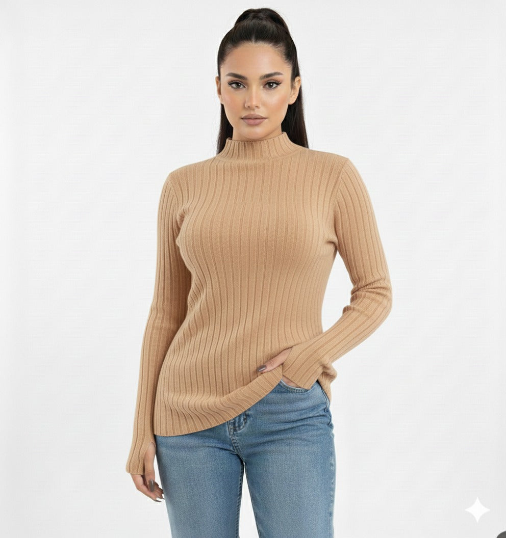 Turtleneck Knit Basic Sweater